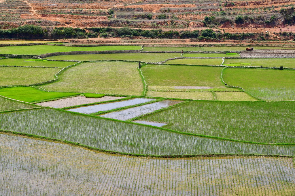 Fianarantsoa to Ambositra